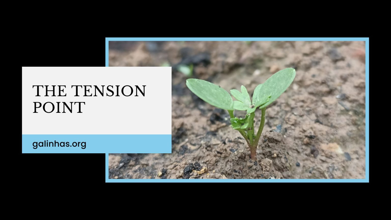 THE TENSION POINT